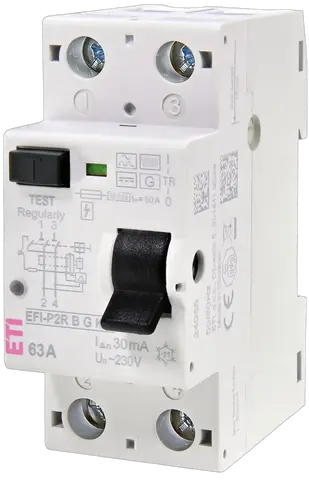 Зображення EFI-P2R B G/KV 63/0.03