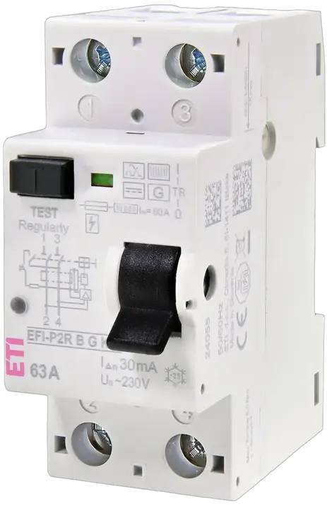 Зображення EFI-P2R B G/KV 80/0.03