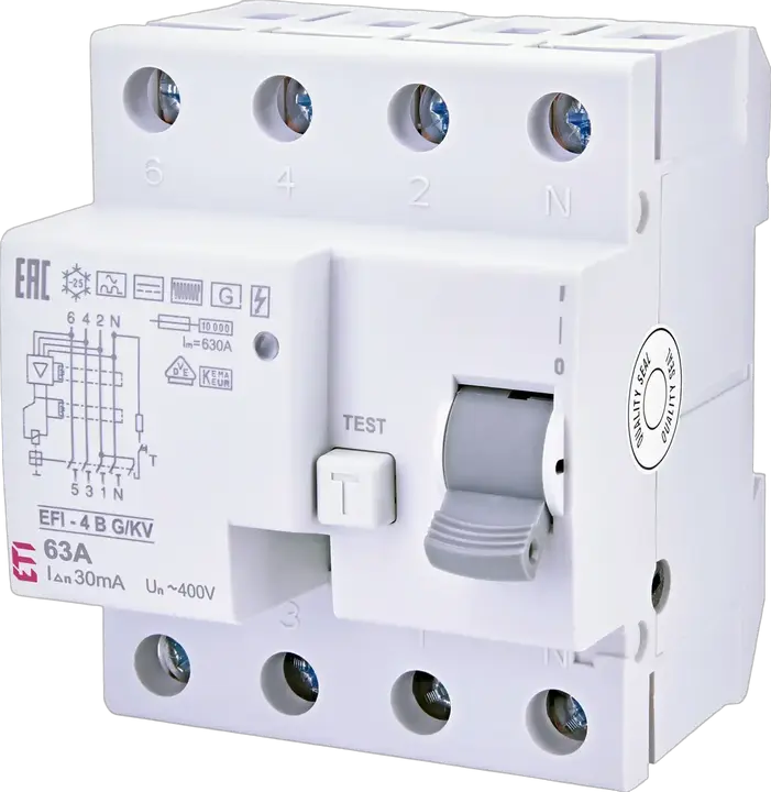 Зображення EFI-4 B G/KV 63/0.03