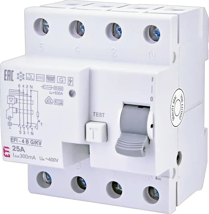 Зображення EFI-4 B G/KV 25/0.3