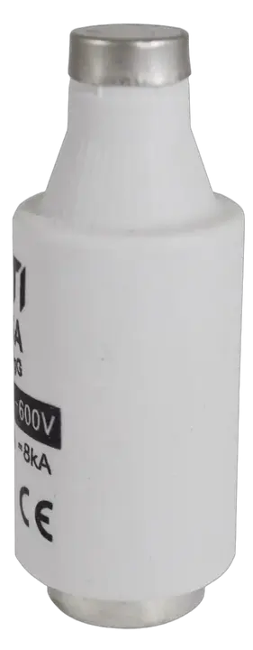 Зображення DIII gG 50A/690V