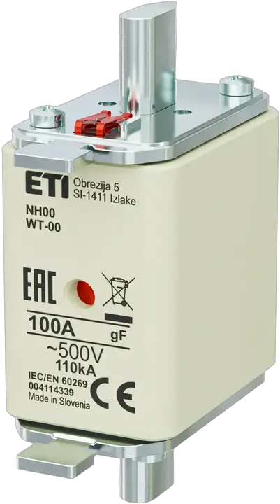 Зображення NH00 gF 100A/500V