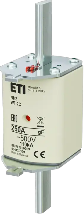 Зображення NH2C gF 250A/500V