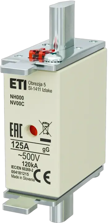 Зображення NH000 gG 125A/500V