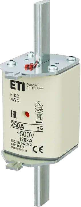 Зображення NH2C gG 250A/500V