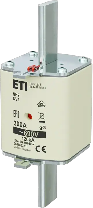 Зображення NH2 gG 300A/690V