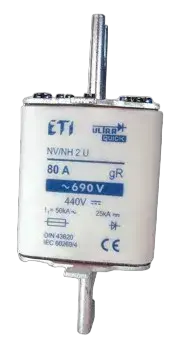 Зображення NHS2/110 UQ gR 100A/690V
