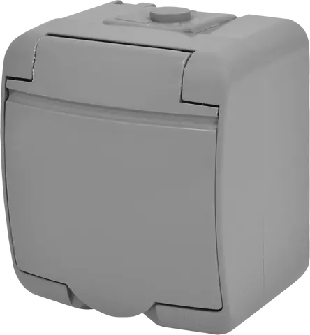 RHE-1s-SR