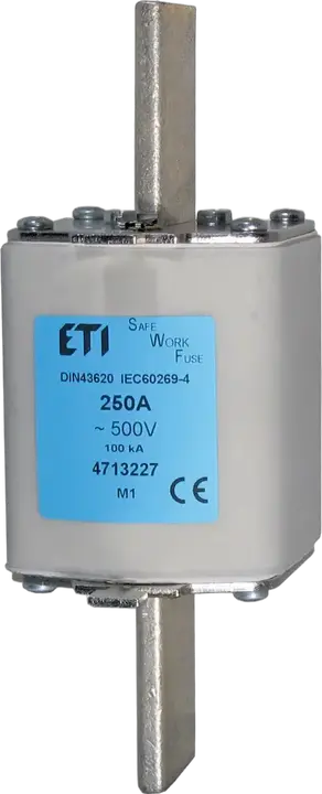 Зображення NH2 SWF 160A/500V