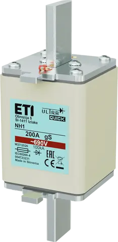 *NH1 gS 200A/690V