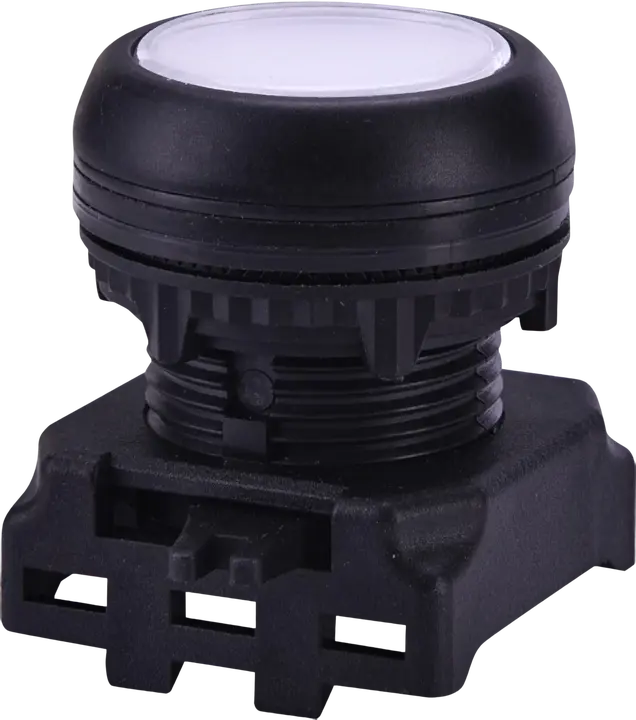 Зображення EGFI-W