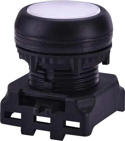 Зображення EGFI-W