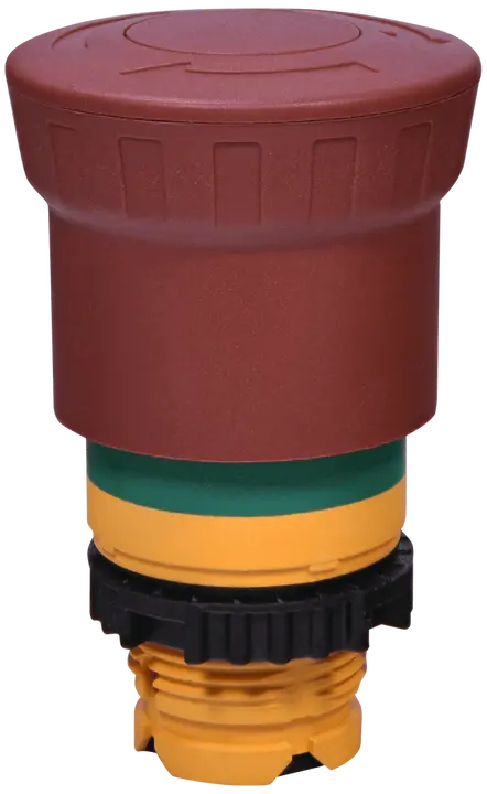 Зображення NSE-PBM-T-RG