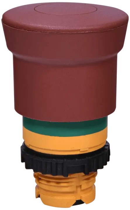 Зображення NSE-PBM-P-RG