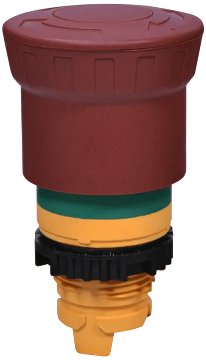 Зображення NSE-PBM-T-RGM