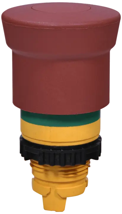 Зображення NSE-PBM-P-RGM